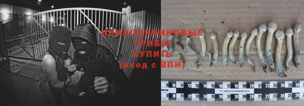 гашиш Аркадак
