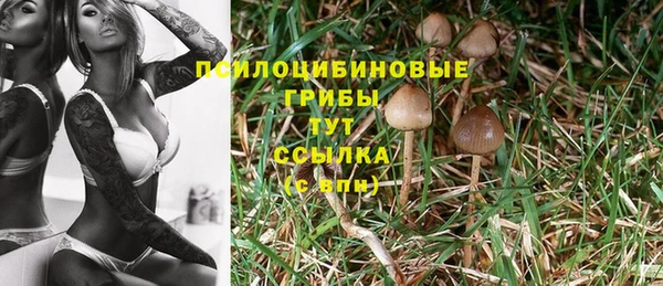 гашиш Аркадак