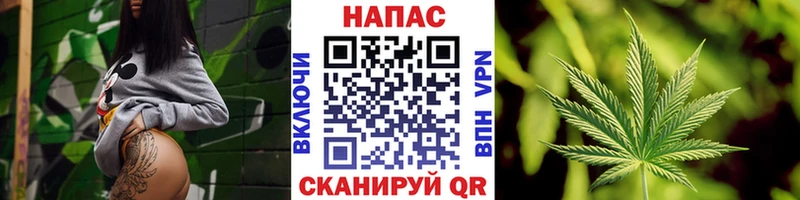 Конопля SATIVA & INDICA  Магас 